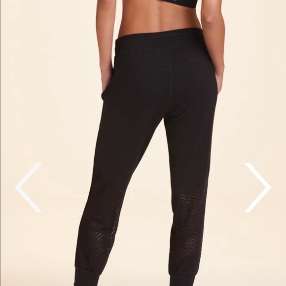 ❌SOLD❌ ALALA HERON JOGGER - BNWT! - Picture 4 of 10